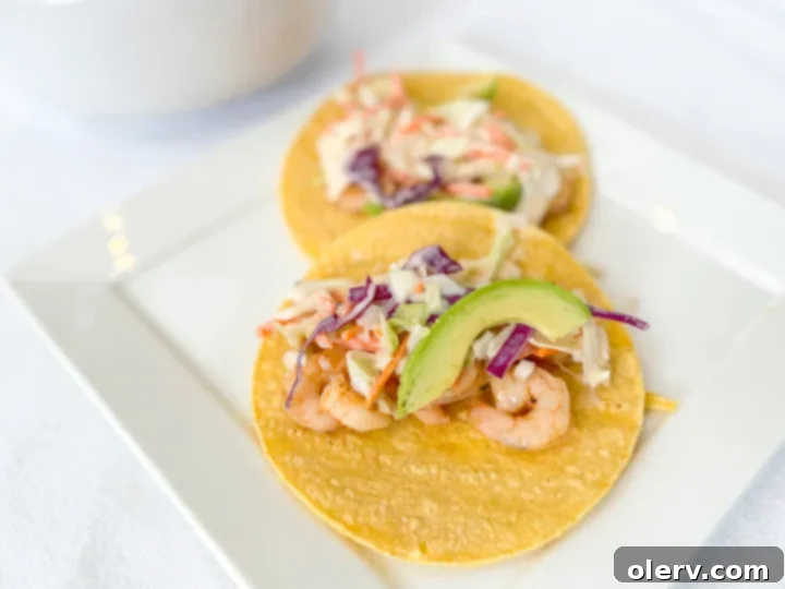 Rainbow Coleslaw 5 Tricolor Coleslaw on Tacos