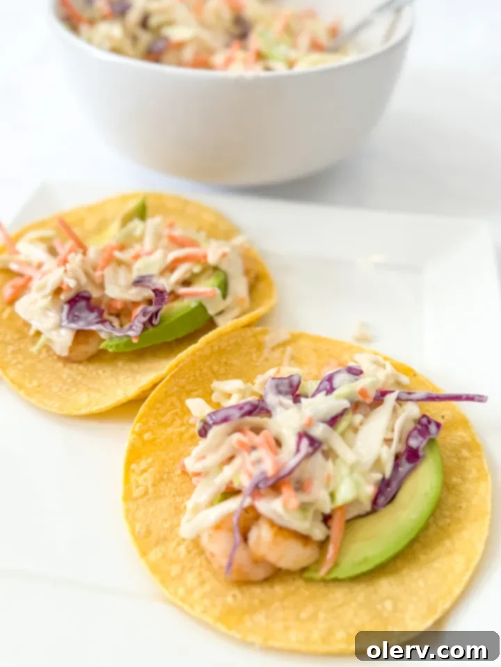 Rainbow Coleslaw 6 Tricolor Coleslaw Bowl