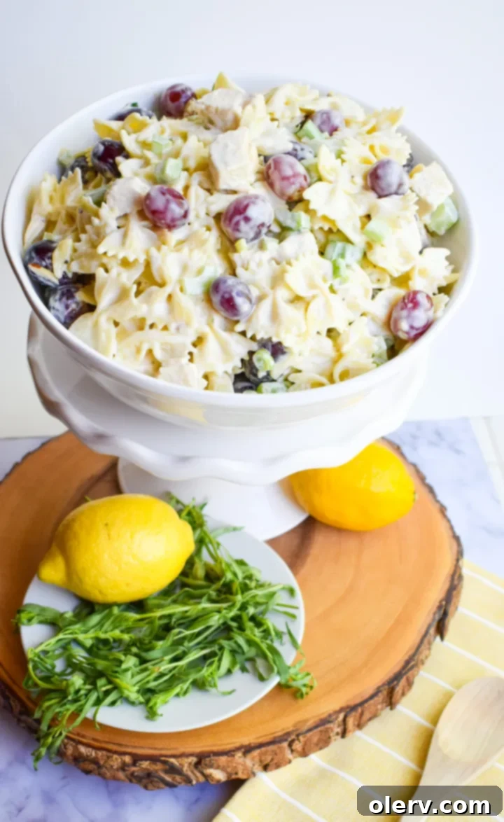 Bright Lemon Tarragon Pasta Medley 9 Beautifully presented Lemon Tarragon Pasta Salad with fresh tarragon garnish.