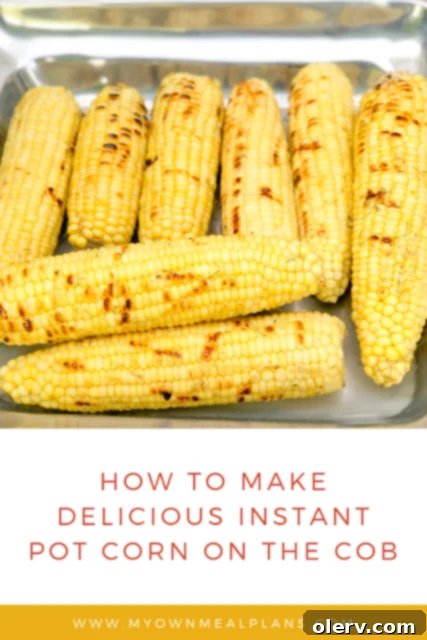 Pinterest icon for sharing Instant Pot recipes