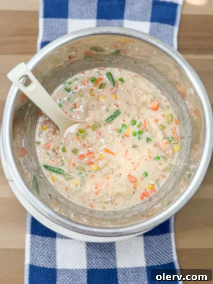 A bowl of freshly made Instant Pot Chicken and Dumplings, ready to be served, showcasing the rich broth and fluffy dumplings.