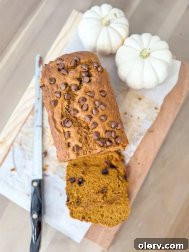 Delicious slice of pumpkin chocolate chip bread