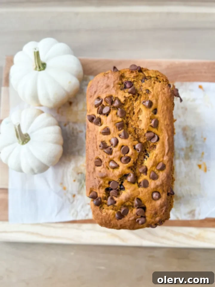 Ingredients for pumpkin chocolate chip bread laid out