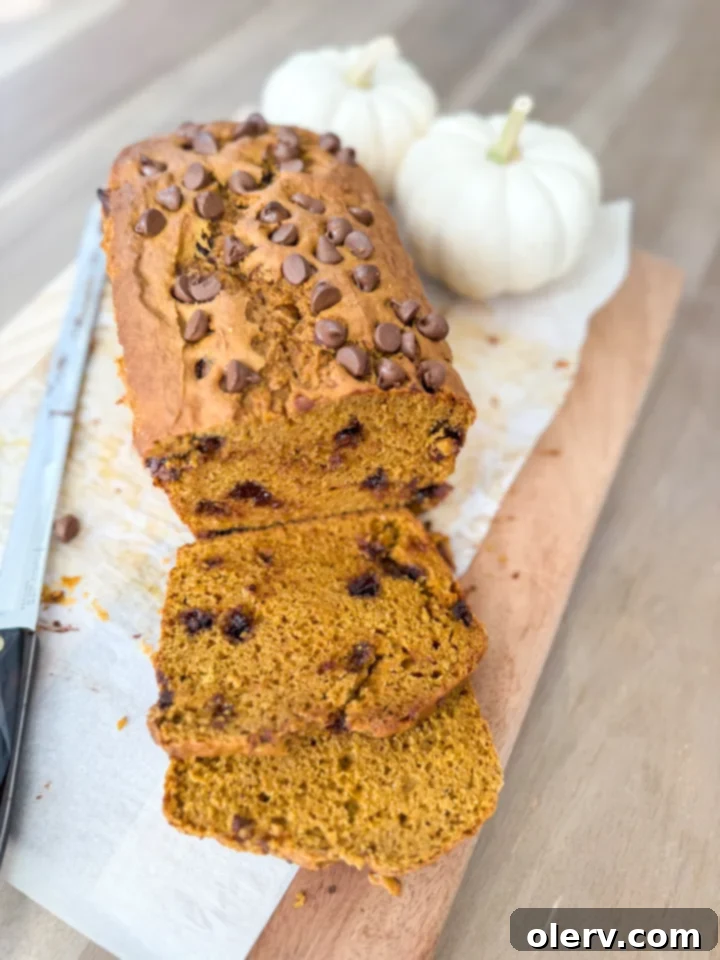 Bowl of pumpkin chocolate chip bread batter