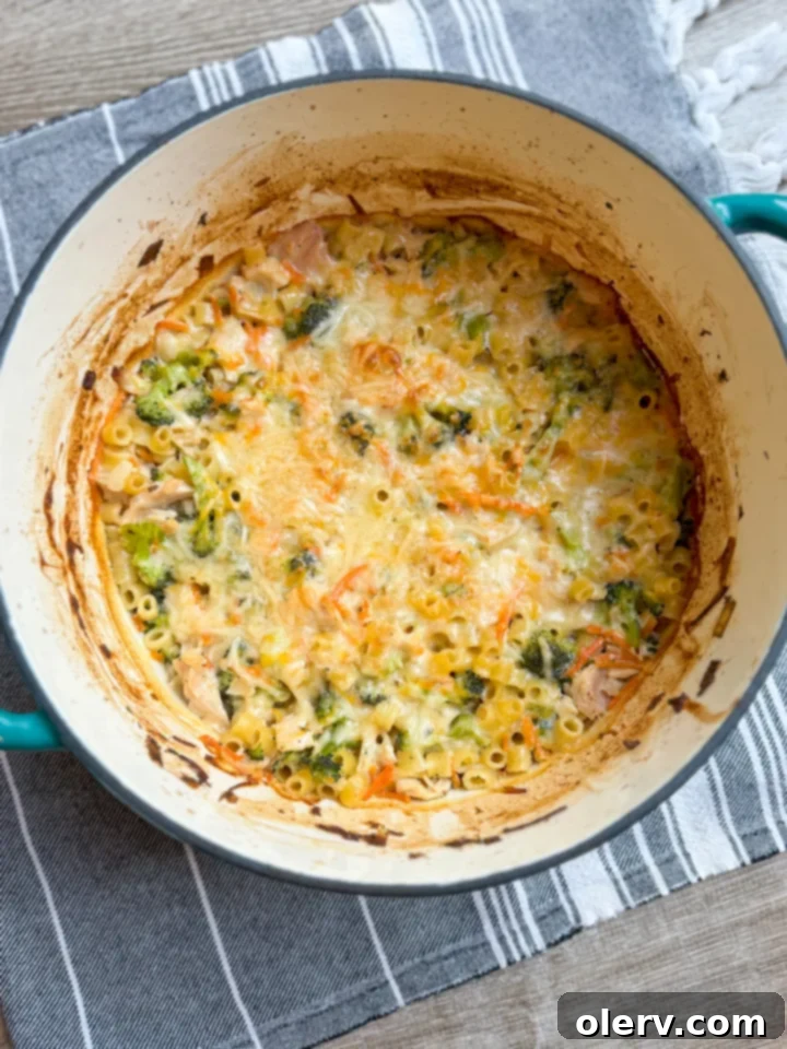 Chicken Broccoli Noodle Bake 2 Delicious and creamy Broccoli Chicken and Noodle Casserole ready to be served