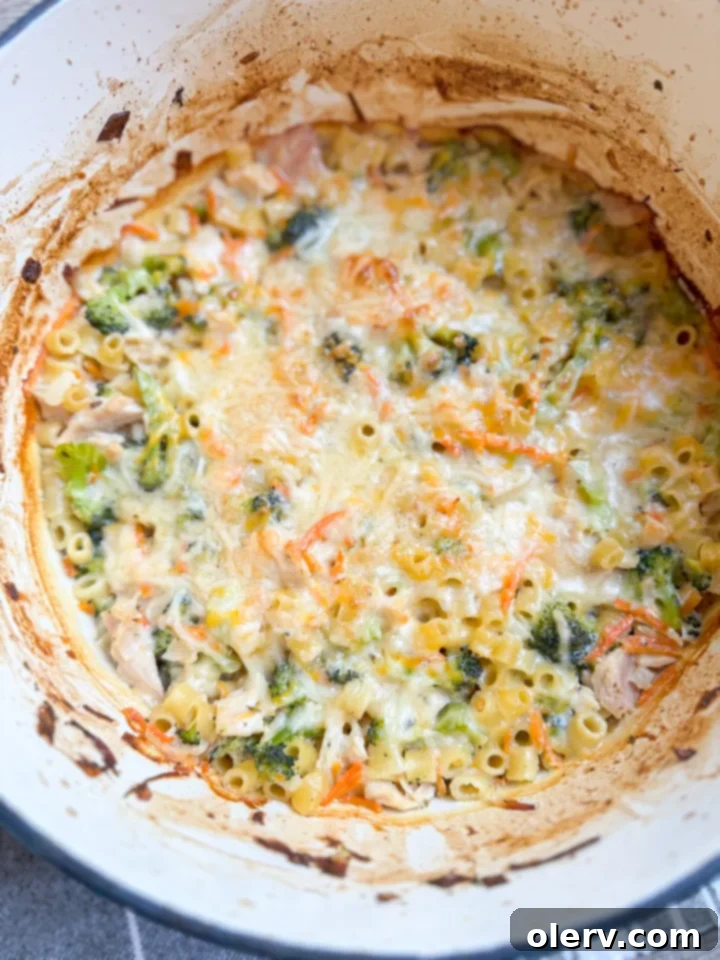 Chicken Broccoli Noodle Bake 3 Close-up of golden brown and bubbly Broccoli Chicken and Noodle Casserole in a baking dish