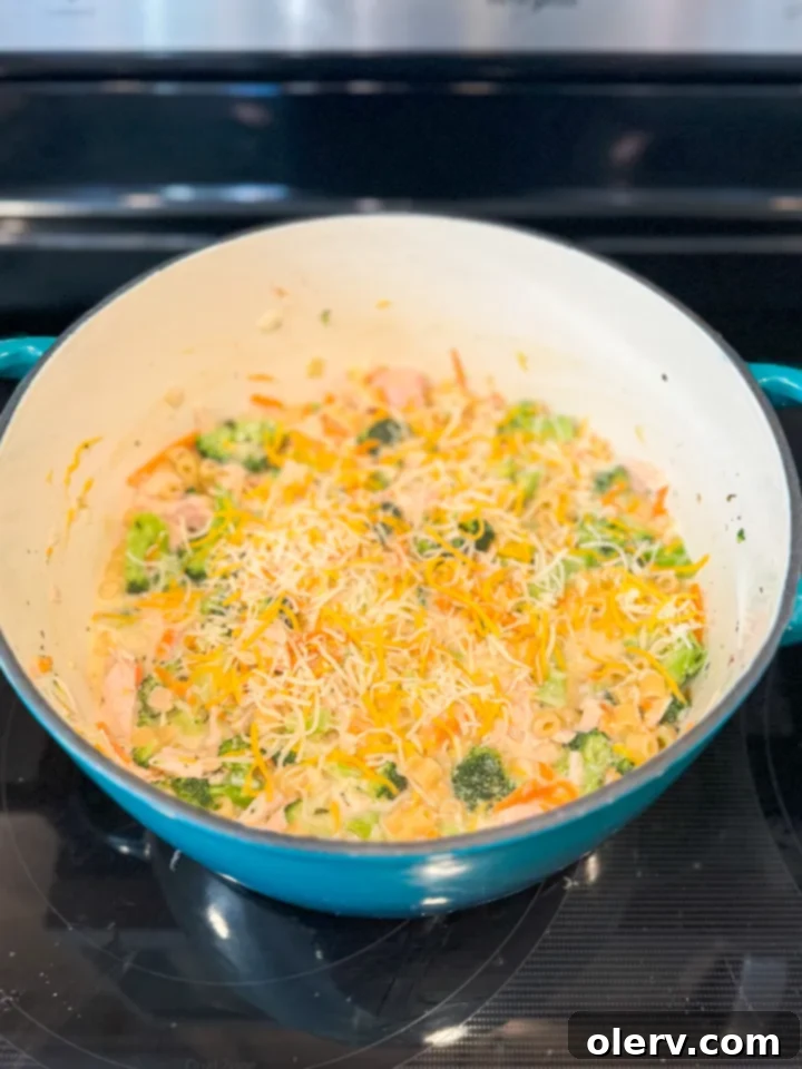 Chicken Broccoli Noodle Bake 5 Ingredients for the casserole laid out: chicken, pasta, cheese, broccoli, and seasonings