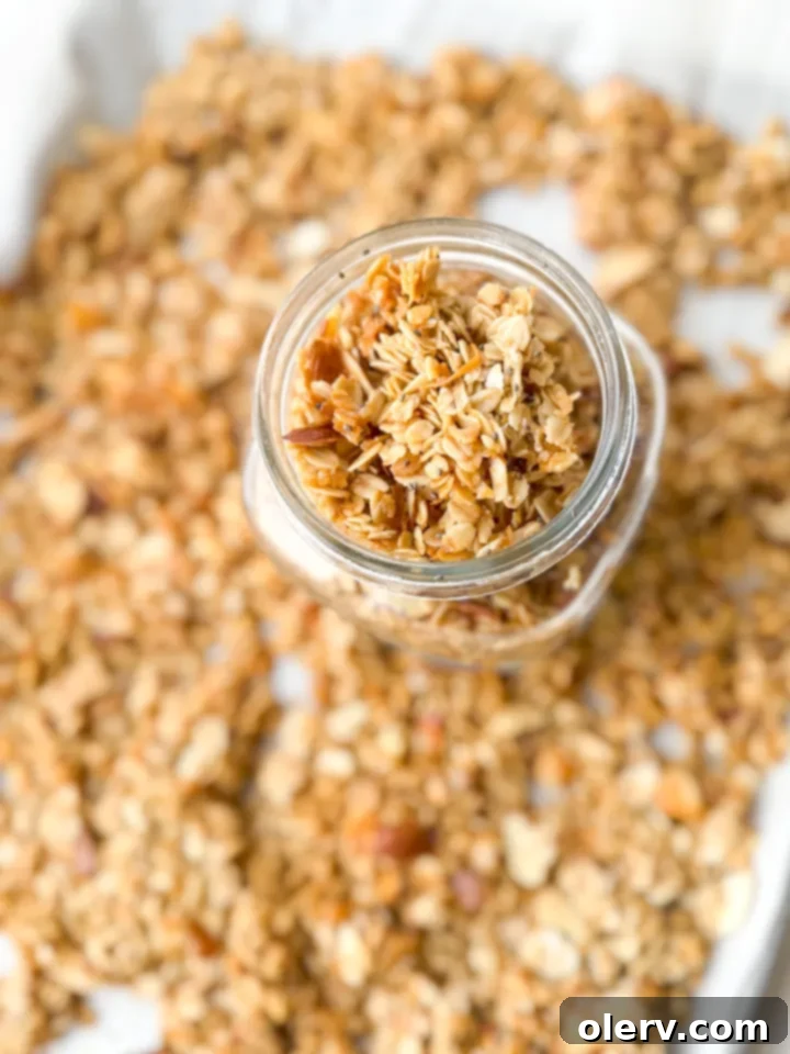 Whip Up Your Own Granola 2 Freshly baked homemade granola with oats, coconut flakes, and nuts, in a large bowl, ready to be served or stored.