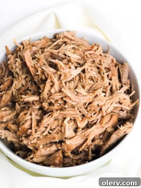 Tender BBQ Shreds 2 Shredded BBQ Pork recipe image for the Instant Pot