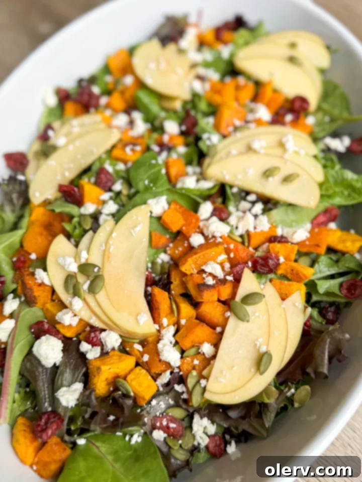 Crisp Apple Harvest Salad 2 Delicious Apple Harvest Salad with roasted butternut squash and feta