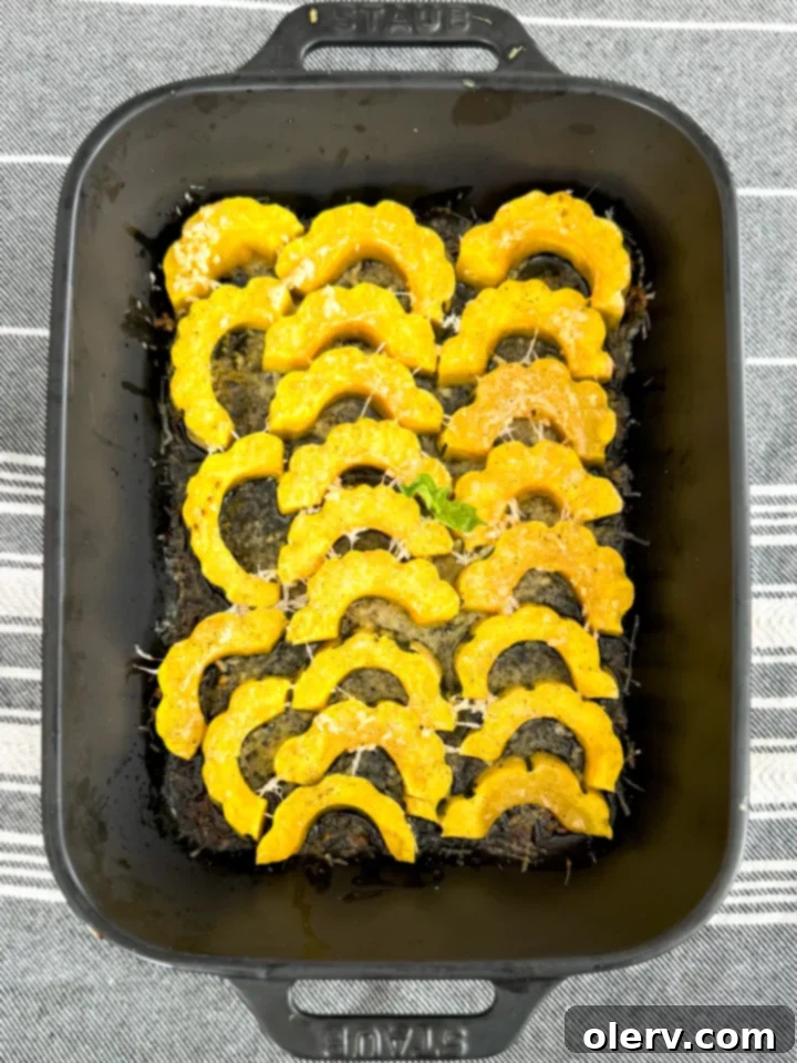 Golden Parmesan Delicata Roast 2 Golden brown Parmesan Crusted Delicata Squash slices arranged beautifully on a plate.
