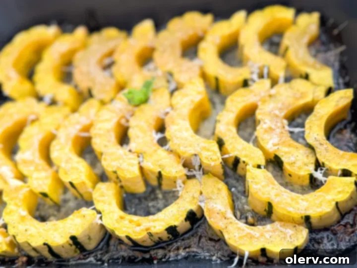 Golden Parmesan Delicata Roast 3 Close-up of baked delicata squash slices with golden Parmesan crust.