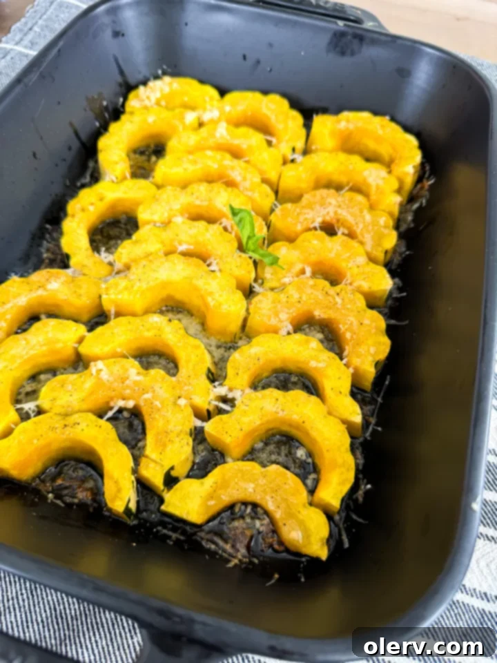 Golden Parmesan Delicata Roast 5 Raw delicata squash slices ready for roasting with butter and cheese.