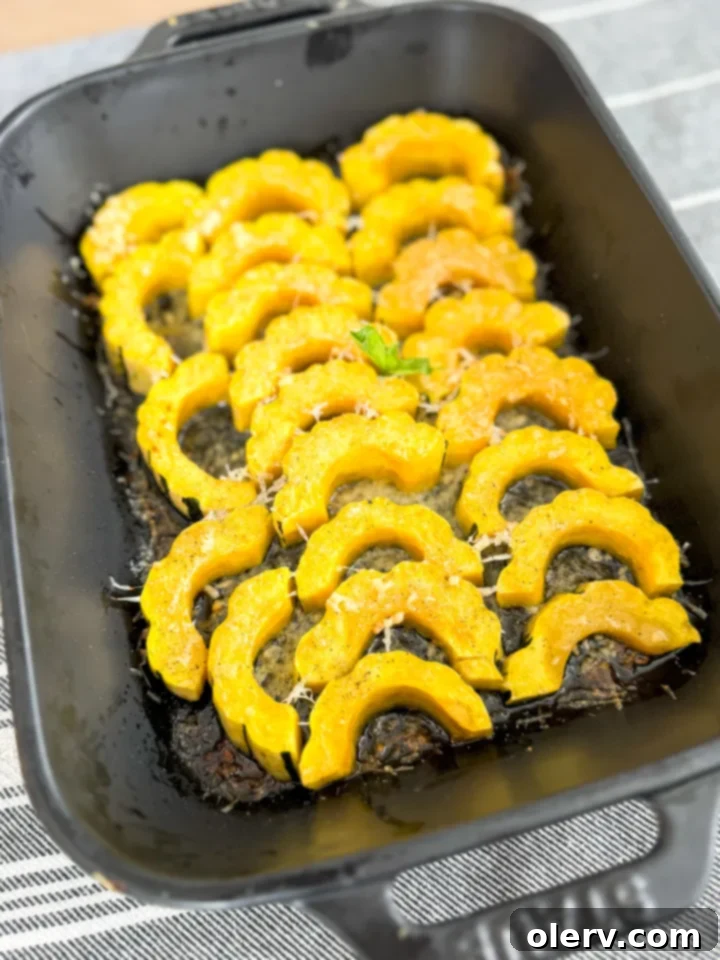 Golden Parmesan Delicata Roast 6 Delicious Parmesan Crusted Delicata Squash fresh out of the oven.