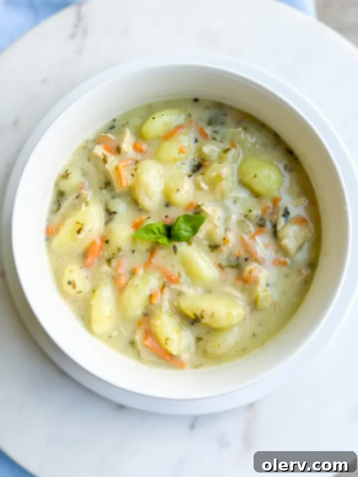 Creamy Chicken Gnocchi Comfort 2 A steaming bowl of creamy Olive Garden Chicken Gnocchi Soup garnished with fresh parsley