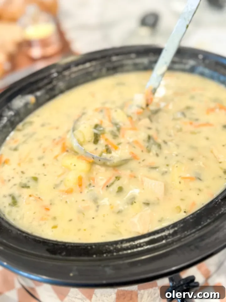 Creamy Chicken Gnocchi Comfort 5 Close-up of a bowl of creamy Chicken Gnocchi Soup, showcasing the chicken, gnocchi, and spinach in a rich broth