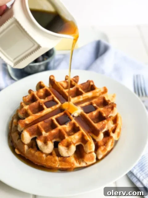 Protein Power Waffles 2 Protein Packed Waffles