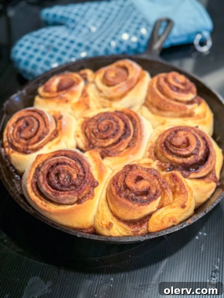 Golden Hour Cinnamon Rolls 5 Homemade cinnamon rolls rolled and cut, ready for baking in a skillet