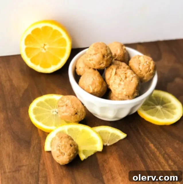 Lemon Protein Power Bites 2 A batch of freshly prepared Lemon Protein Bites.