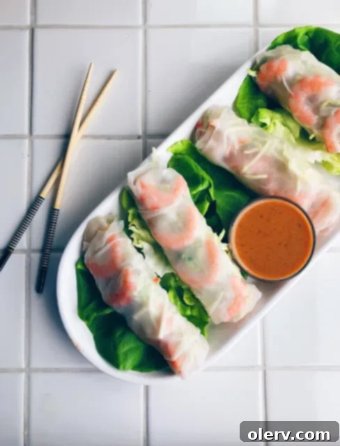 Vibrant Spring Rolls and Nutty Peanut Dip 2 Healthy Spring Rolls with Peanut Dipping Sauce
