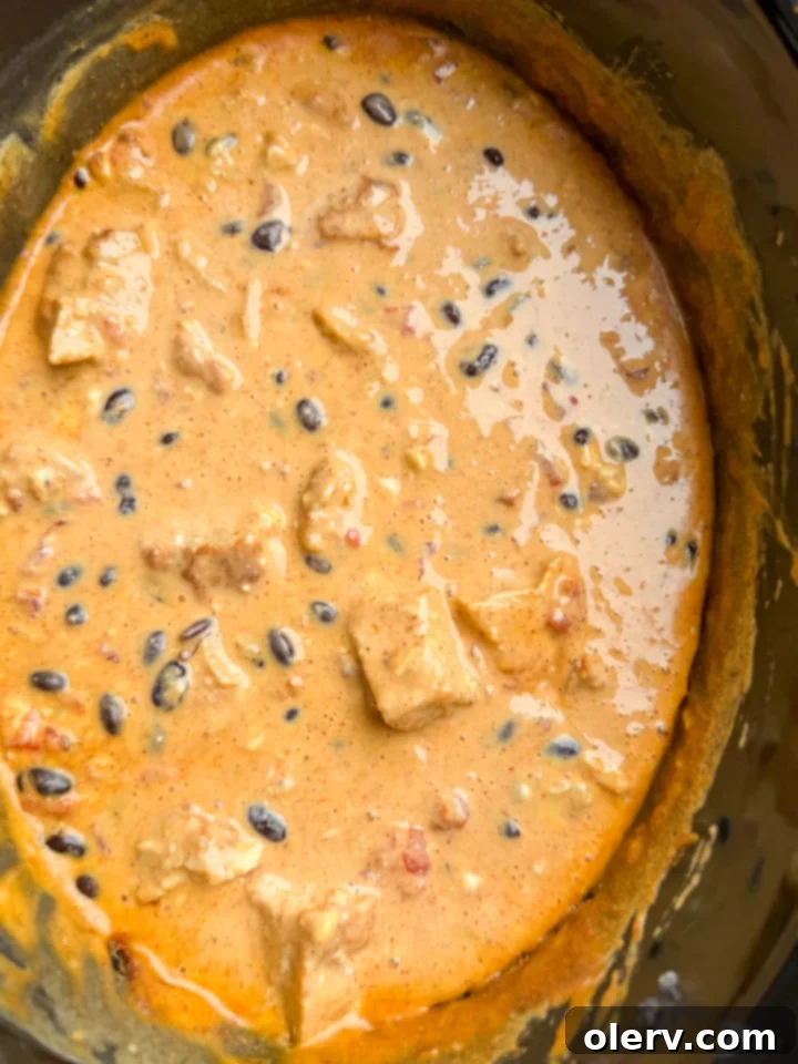 Cheesy Slow Cooker Nacho Chicken Dip 2 Delicious Crock Pot Nacho Chicken Dip served with tortilla chips.