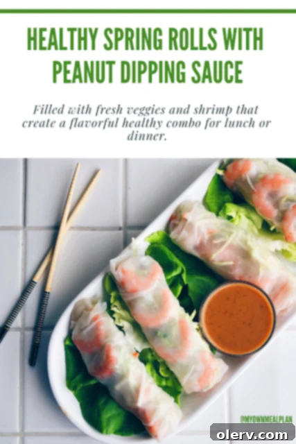 Pinterest link for Asian Ramen Salad