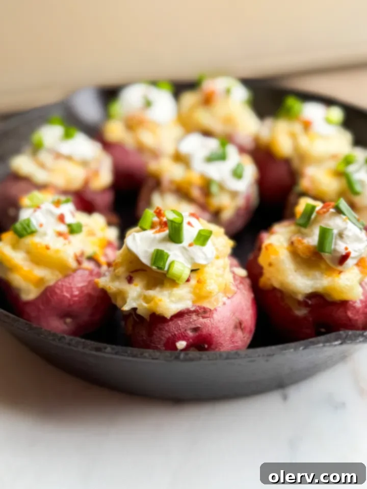 Tiny Loaded Potato Bites 2 Delicious mini twice baked potatoes, perfectly golden and garnished with green onions and bacon