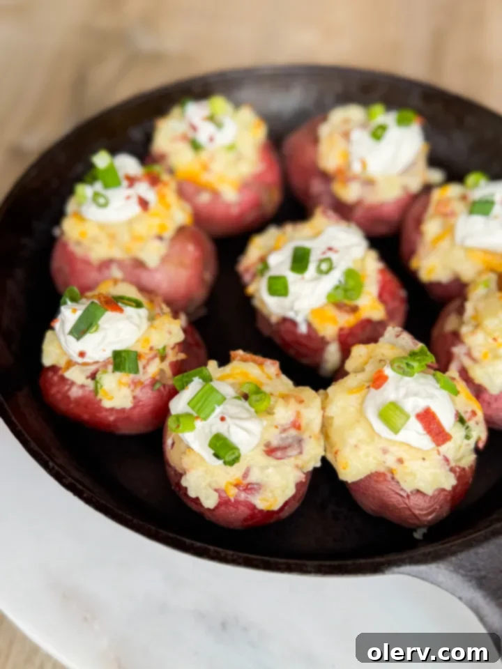 Tiny Loaded Potato Bites 3 Ingredients for mini twice baked potatoes laid out on a white surface
