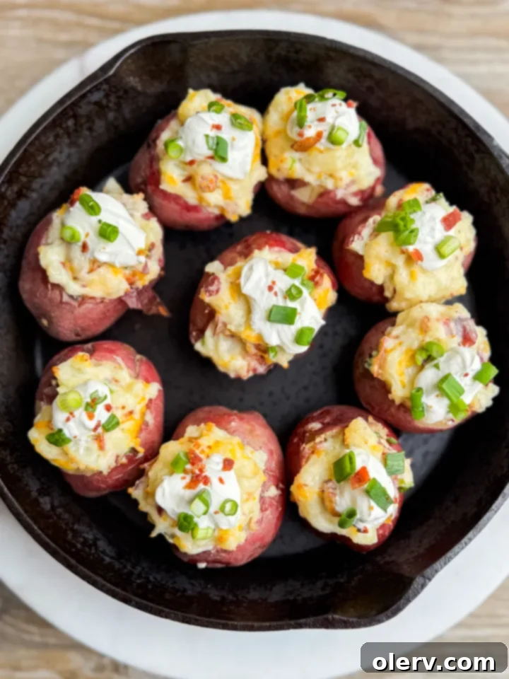 Tiny Loaded Potato Bites 5 Beautifully garnished mini twice baked potatoes ready to be served