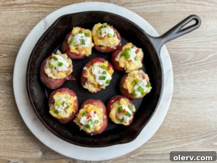 Tiny Loaded Potato Bites 6 A plate of mini twice baked potatoes ready to be served at a party