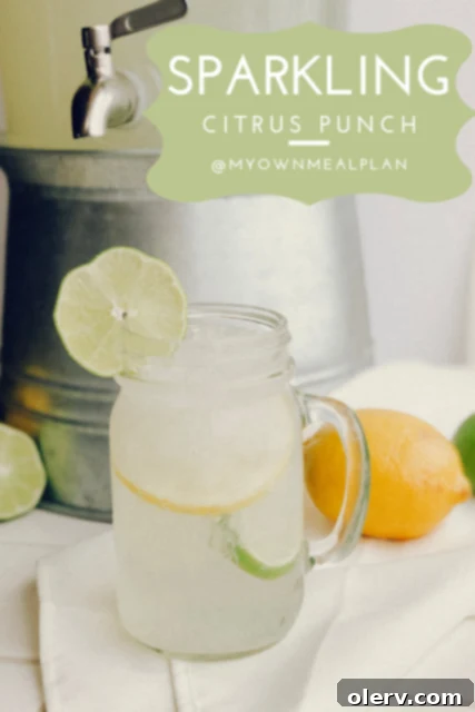 Sparkling Citrus Punch for Pinterest