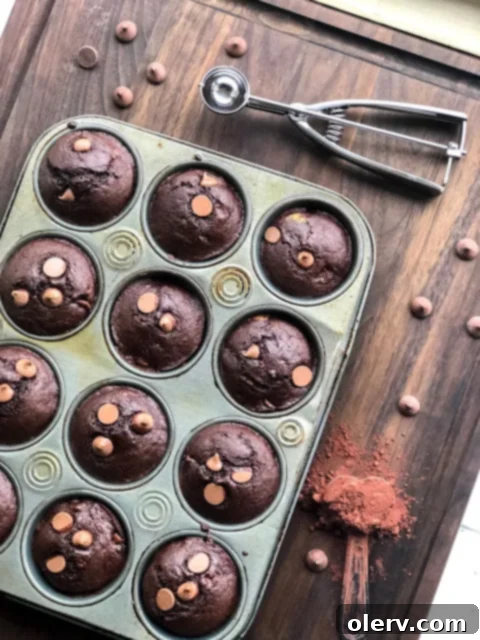 Healthy Chocolate Muffins