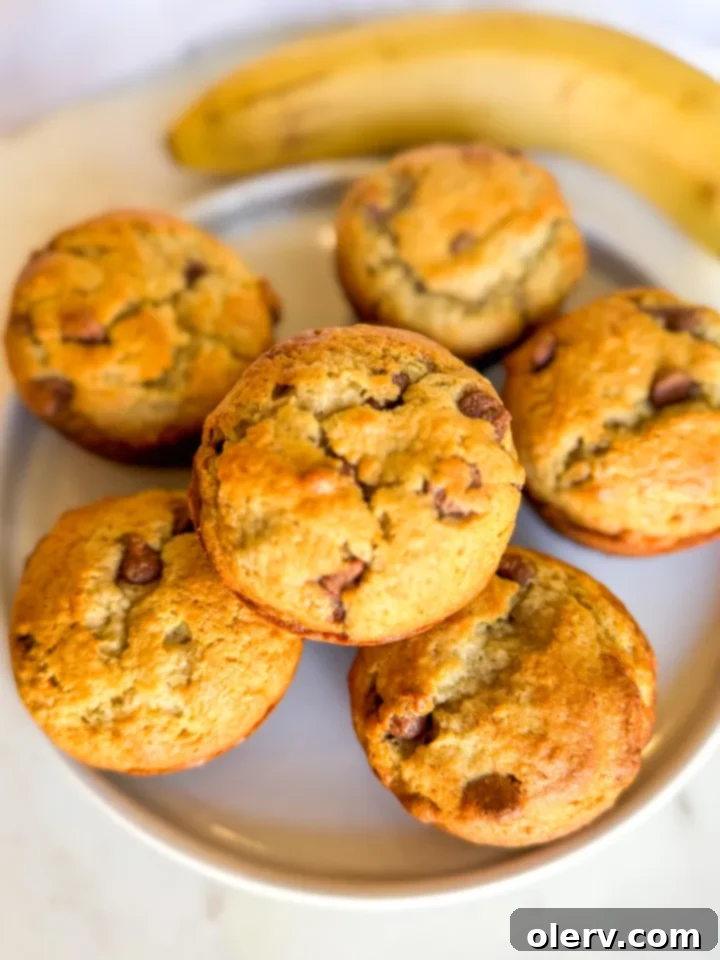 Irresistible Banana Chocolate Chip Muffins 3 Close-up of a single banana chocolate chip muffin with a perfectly golden top and visible chocolate chips, sitting on a parchment-lined muffin tray.