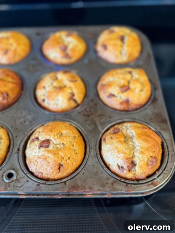 Irresistible Banana Chocolate Chip Muffins 4 All the ingredients for banana chocolate chip muffins laid out on a kitchen counter: mashed bananas, flour, sugar, chocolate chips, and other baking essentials.