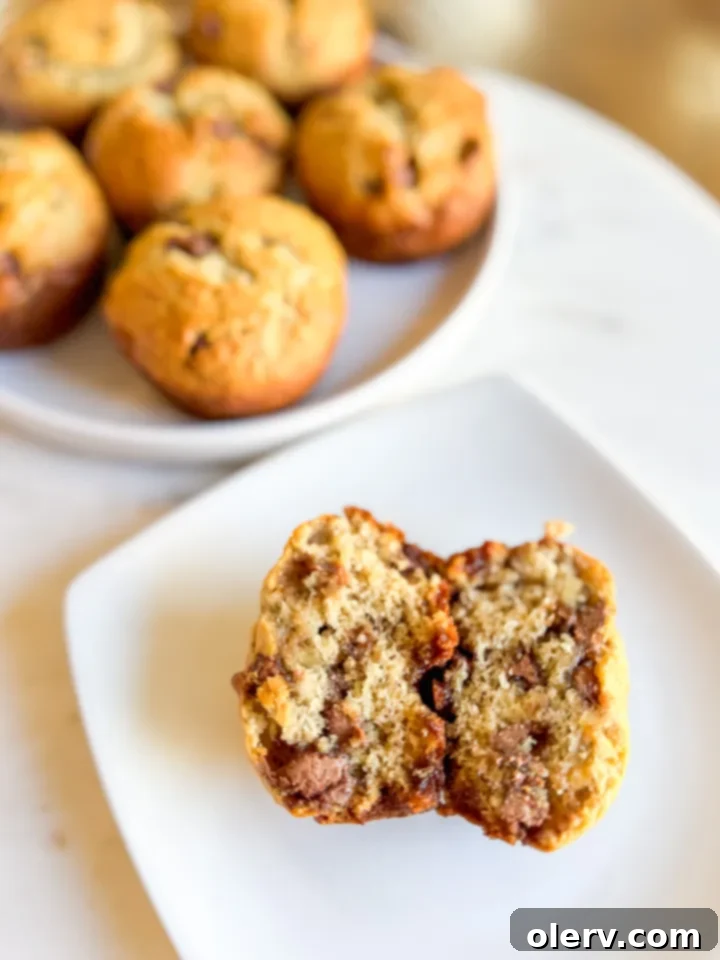 Irresistible Banana Chocolate Chip Muffins 5 A close-up shot of a baked banana chocolate chip muffin broken in half, revealing its moist interior and generous chocolate chips.