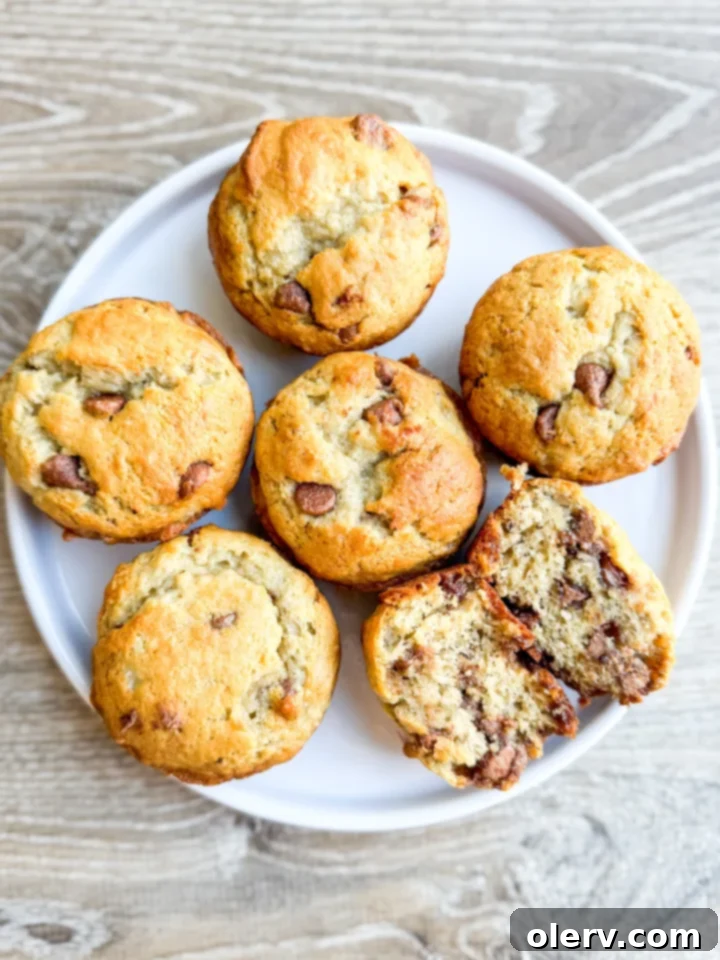 Irresistible Banana Chocolate Chip Muffins 6 A stack of three perfect banana chocolate chip muffins on a white plate, ready to be served.