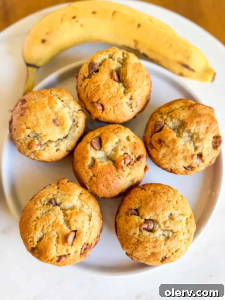Irresistible Banana Chocolate Chip Muffins 7 Perfectly baked banana chocolate chip muffins, golden brown with visible chocolate chips.