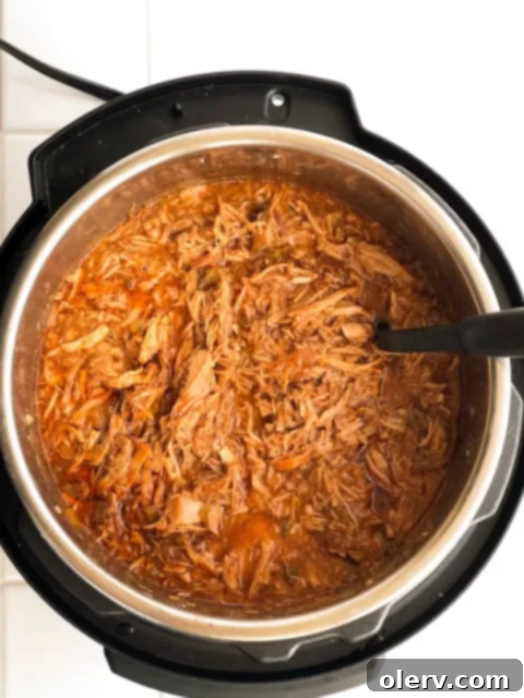 Sticky Instant Pot Sweet Pork 2 Instant Pot Sweet Pork