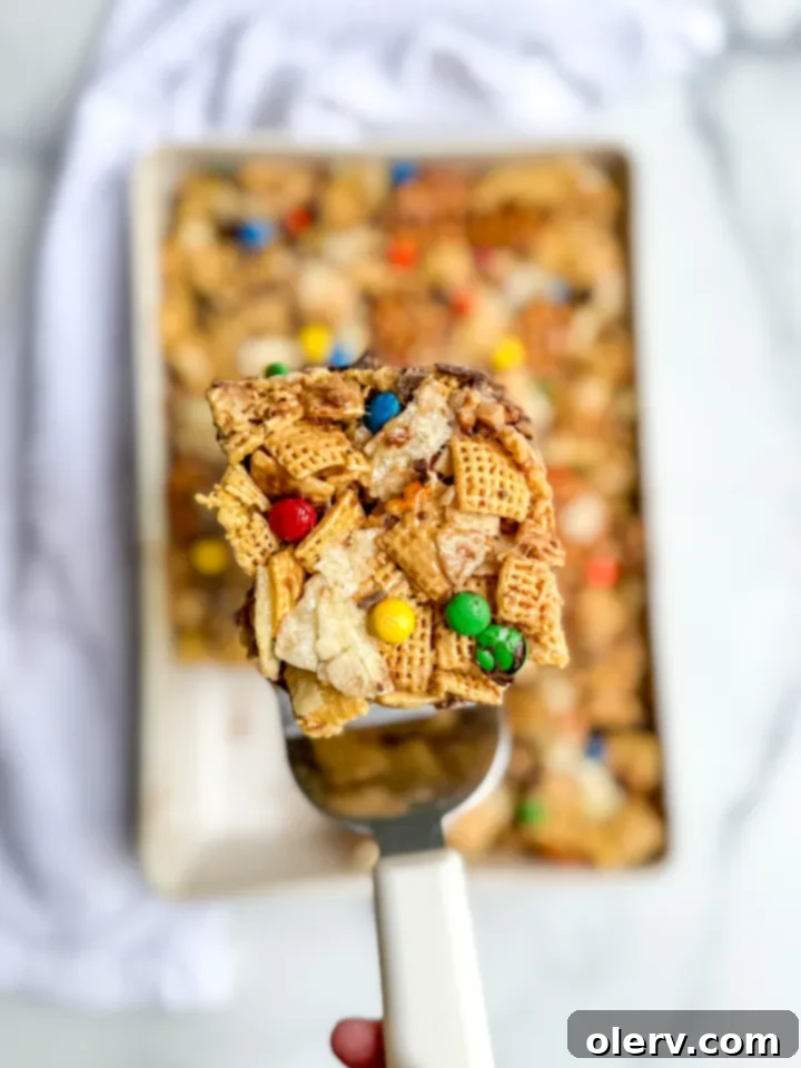 Hodgepodge Cereal Bars 8 Kitchen Sink Cereal Bars, a delicious sweet and salty treat