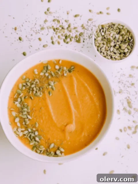 Creamy Curry Butternut Squash Soup 2 Curry Butternut Squash Soup