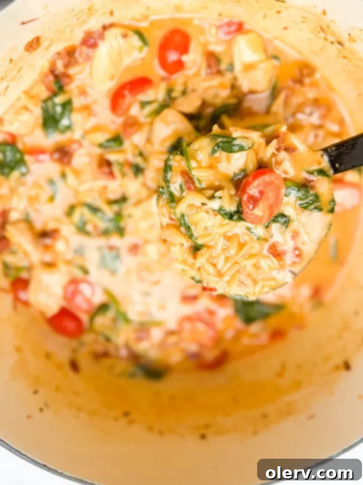 Orzo That Gets A Yes 5 A close-up shot of the creamy Marry Me Orzo pasta in a Dutch oven, garnished with fresh herbs.