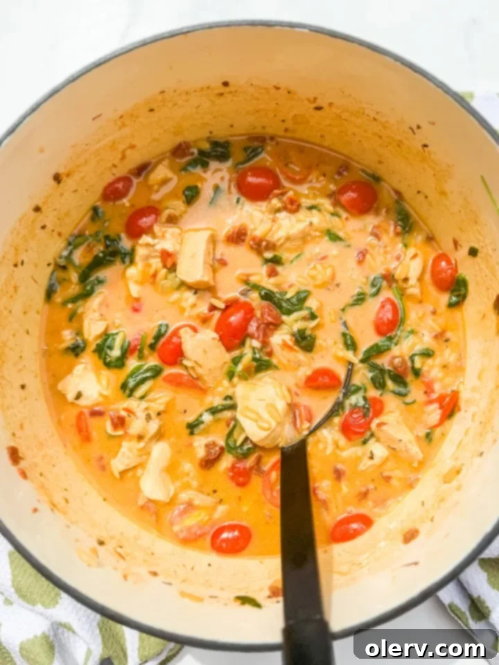 Orzo That Gets A Yes 6 Overhead shot of the Marry Me Orzo Chicken served in a rustic bowl, with a spoon digging into the creamy pasta.