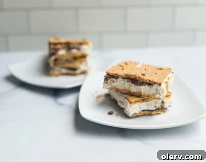 Protein Packed Frozen Smores 3 Ingredients for Frozen Protein S'mores laid out on a table