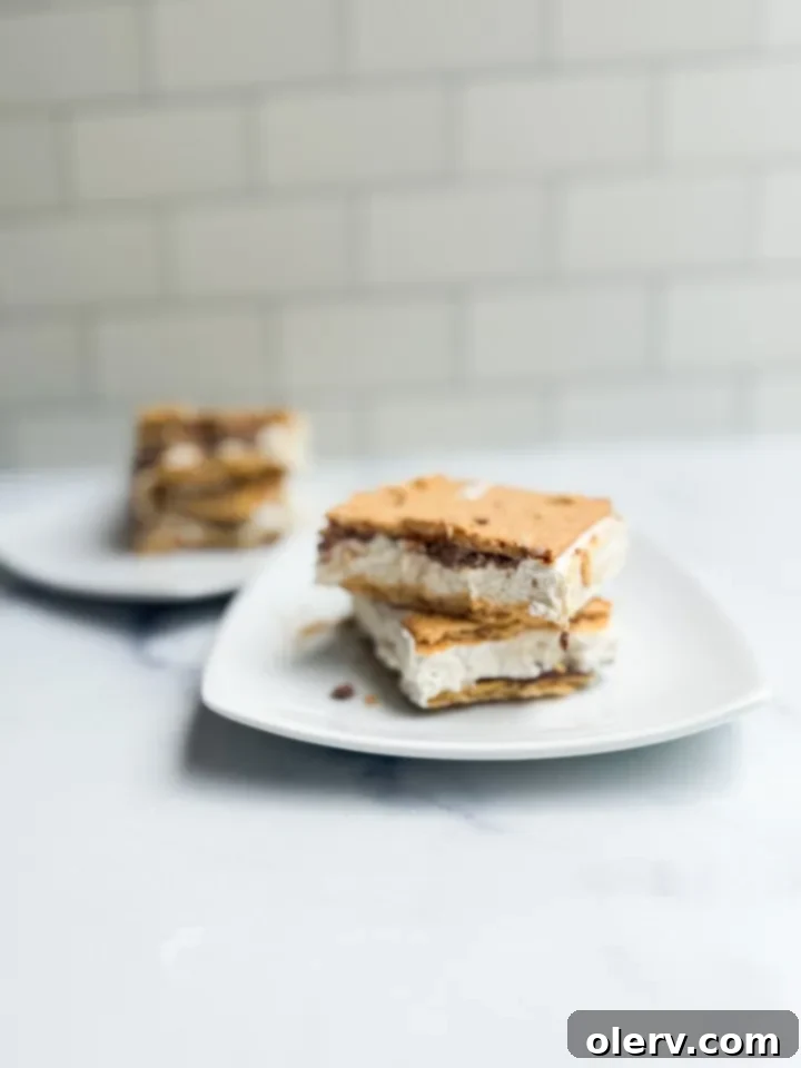 Protein Packed Frozen Smores 4 A tray of freshly made Frozen Protein S'mores Bars