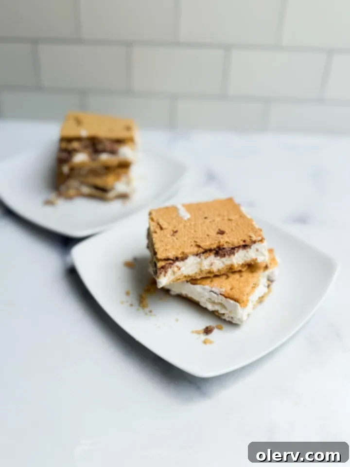 Protein Packed Frozen Smores 5 Frozen Protein S'mores Bar ready to be enjoyed, held in hand