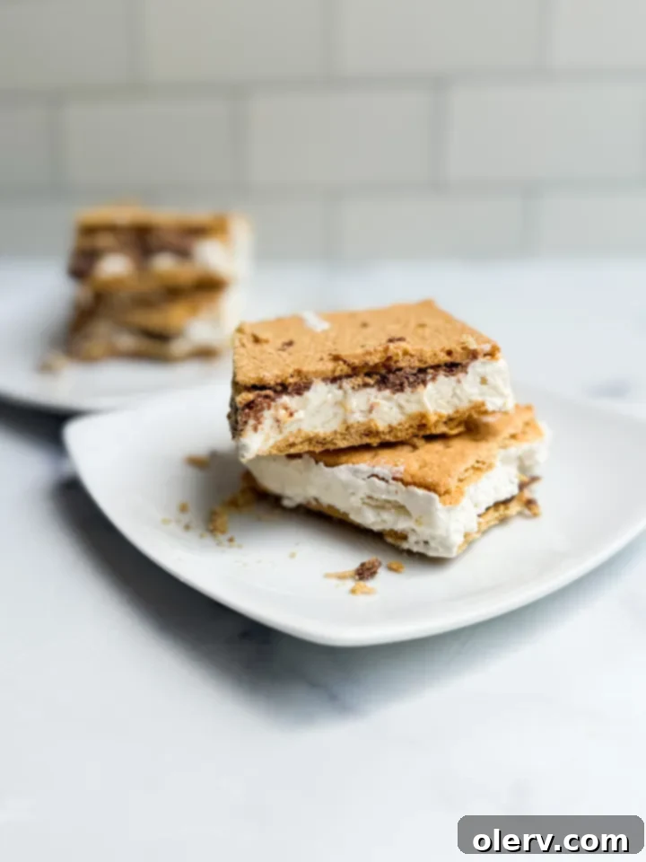 Protein Packed Frozen Smores 7 Frozen Protein Smores