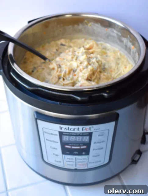 Hearty Instant Pot Chicken and Wild Rice Soup 2 Instant Pot Chicken & Wild Rice Soup ready to be served