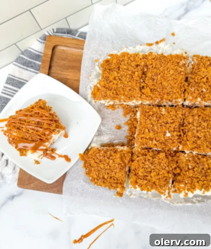Golden Crust Ice Cream Bars 7 A finished plate of Homemade Fried Ice Cream Bars with caramel and cherry toppings
