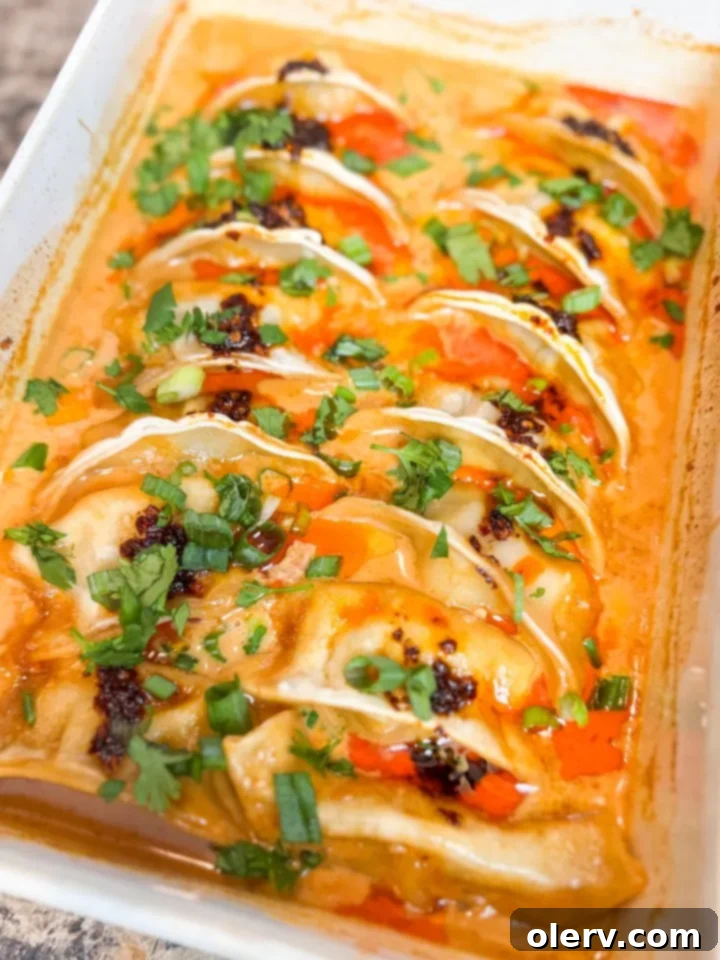 One-pan baked dumplings, freshly removed from the oven and garnished with cilantro, green onions, and chili crisp
