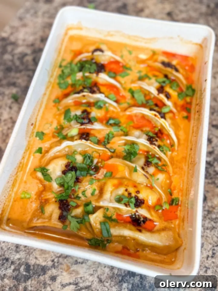 A bowl of one-pan dumpling bake garnished with chili crisp, cilantro, and green onions